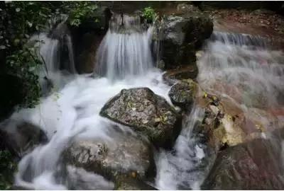 春雨直播app